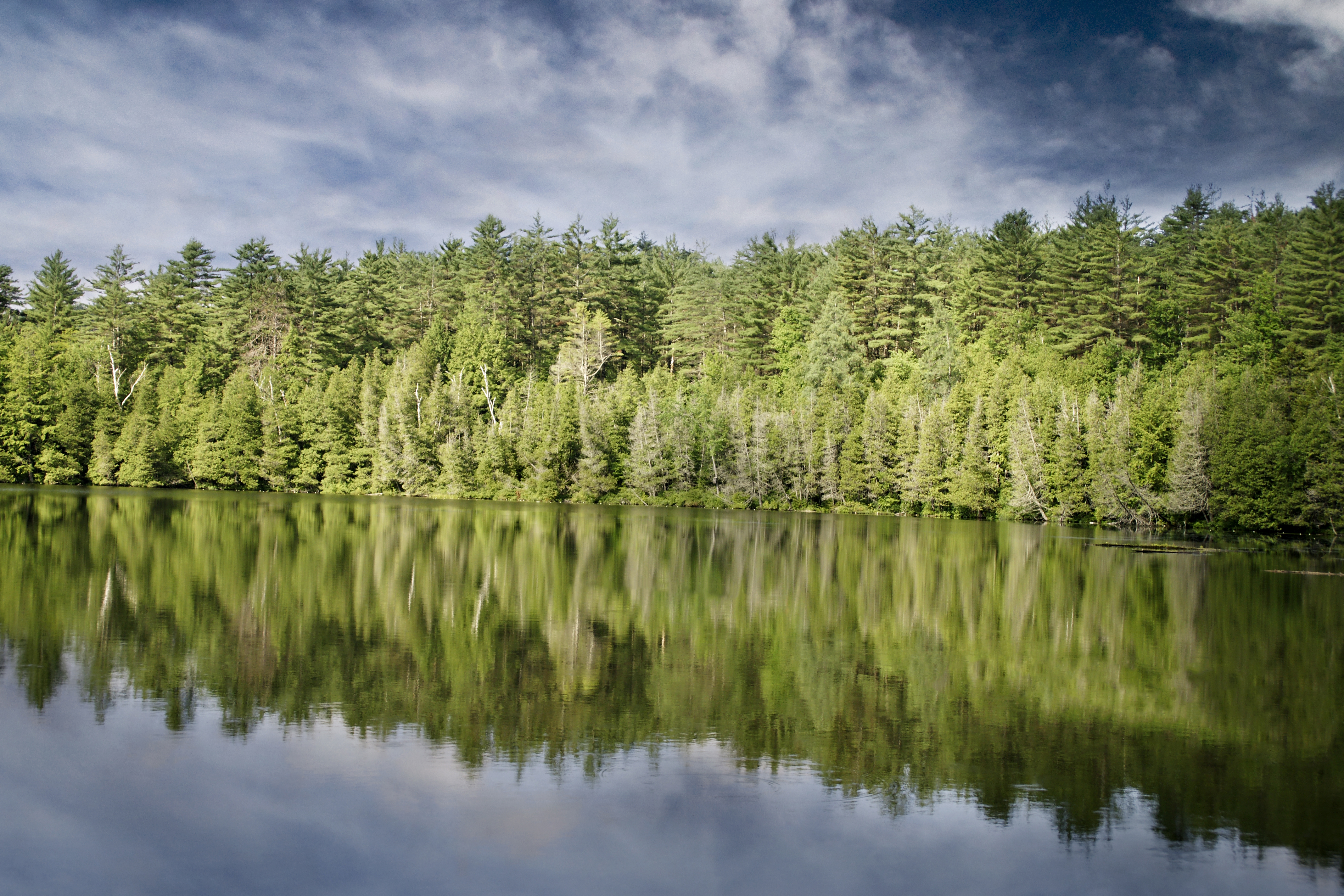 Responsive image